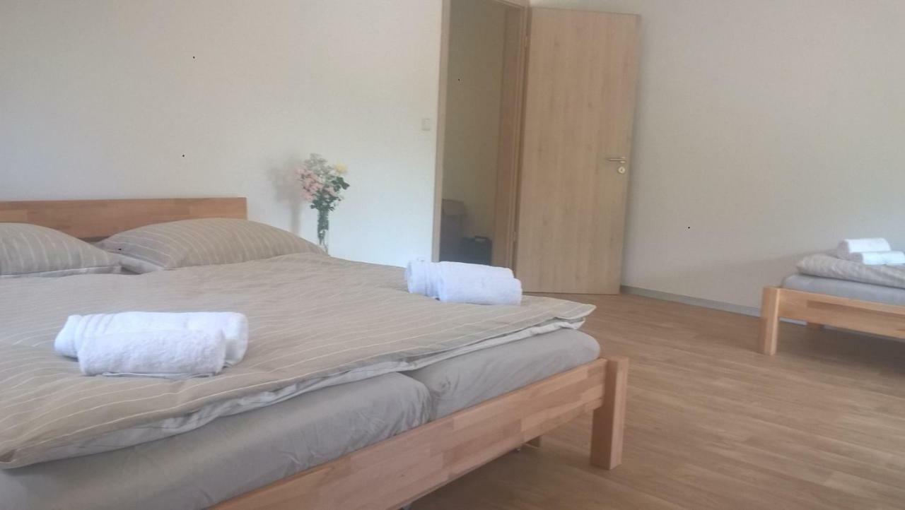 Apartmán Nad terasou Říčky Exterior foto
